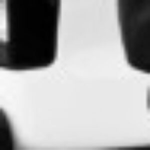 Profile photo of Ntando Blaai